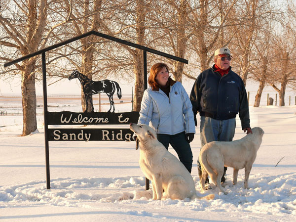 Carol & Doug Schaffer, Sandy Ridge Stallion Station, Bassano, Alberta