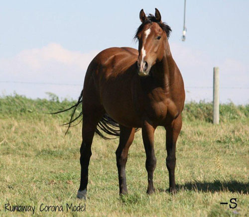 Runaway Corona Model