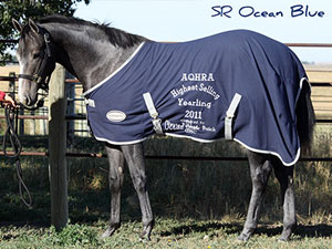 SR Ocean Blue - high selling yearling of the 2011 AQHRA sale, selling for $14,000.