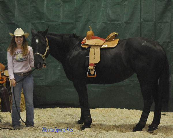 Marthas Ebony Moon - 2009 Canadian Barrel Horse Incentive Derby Champion & Fast Time Winner