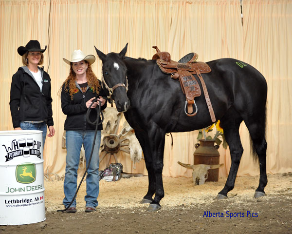 Marthas Ebony Moon by Sandy Ridge Stallion, Fast Moon Chic - Trina Swerbus, owner, trainer & rider - 2009 Canadian Barrel Futurites/Derbies overall Derby Champion