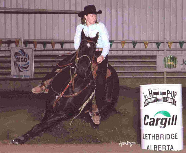 Chics Easy Bug by Fast Moon Chic - Futurity, Derby & Rodeo horse