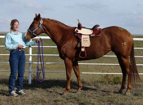 Fastchicalicken by Fast Moon Chic - Futurity Champion Barrel Horse