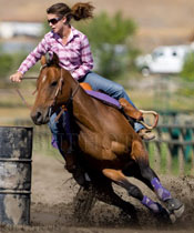 Fast Moon Chic barrel mare