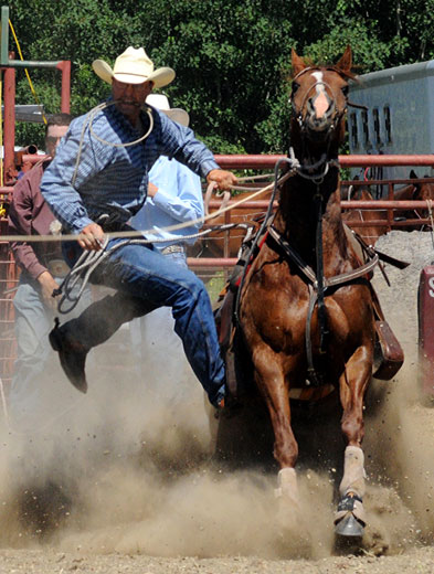 JR Robinson & Marthas Frosty Chic - FCA Tie-Down Roping Champions