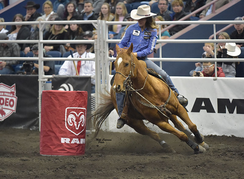 SPECIAL TACK x Plain Special
3 x CFR Qualifier ~ 2016 CFR Round Winner ~ 3rd CFR Average ~ Rodeo Winner ~ Futurity Champion