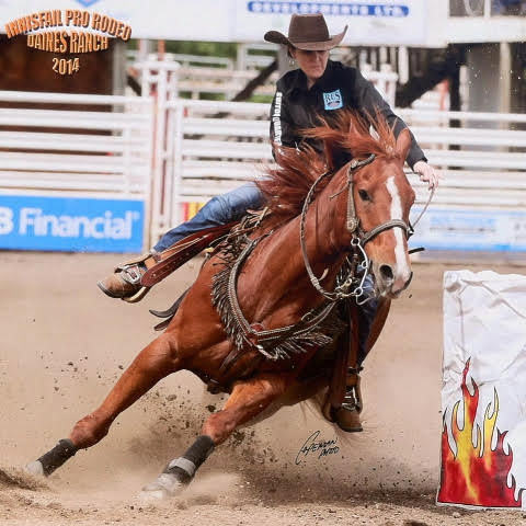 SWIFT MACHINE x Plain Special
2010 Canadian High Point Futurity Horse ~ Pro Rodeo Winner
* Trainer: Rayel Little
* Ridden by Rayel Little & Laci Suitor 