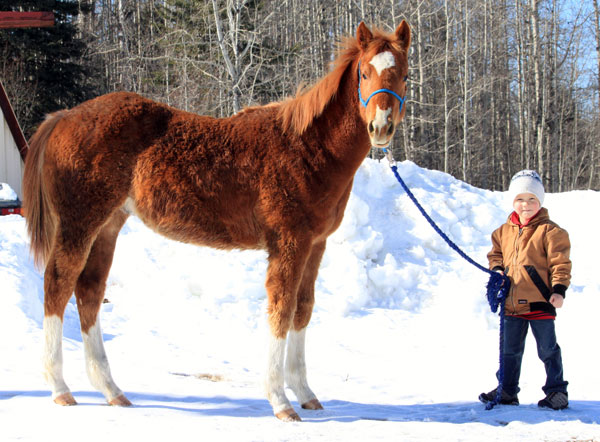 Prime Time Chivato colt out of daughter of Whos Bad