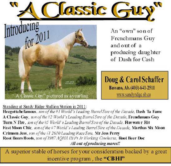 A Classic Guy - own son of Frenchmans Guy & out of a producing daughter of Dash For Cash