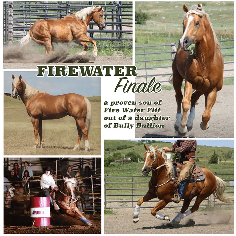 Farewell to Firewater Finale