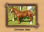 Crimson Jess - Son of Mr Jess Perry