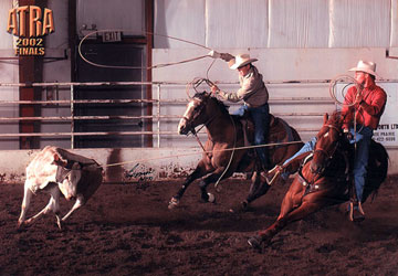 Dudes Genuine San - Team Roping, Calf Roping, Barrel Racing & Ranch Horse Sire