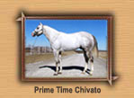 Prime Time Chivato